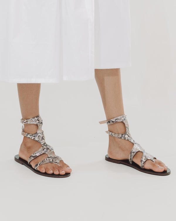 Ophidia